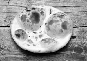 Tandoori Roti (khamiri)