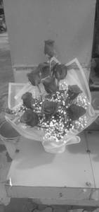 Rose red bunch [7 pieces]