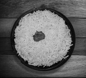 Plain Rice