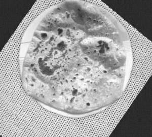 Plain Paratha
