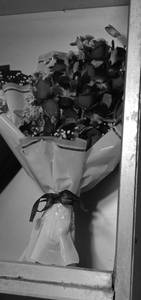 Orchid bunch