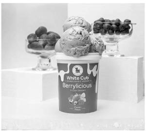 Berrylicious Vegan Ice Cream 500ML