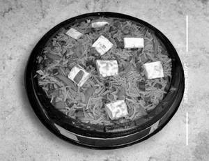 Paneer Fried Rice