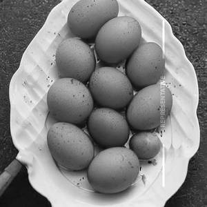 Egg fry