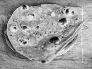 Missi Roti