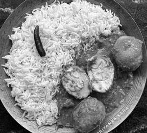 White Rice+Egg Masala Curry