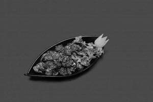 Mushroom Pepper Dry
