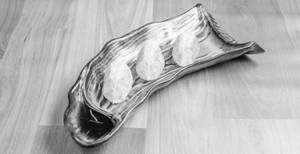 Pan Fried Zhai Gyoza