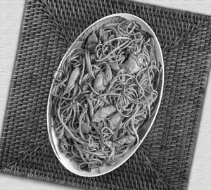 Chicken Noodles