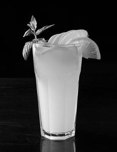 Fresh Lemon Juice