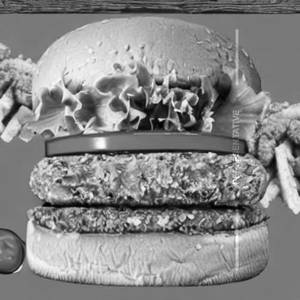 Spice It Up Chicken Burger