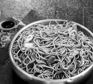 Veg manchurian noodles