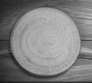 2 dosa