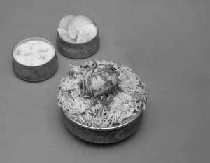 Egg Biryani
