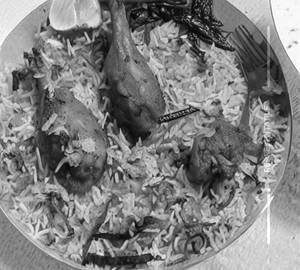 Hyderabadi chicken biryani