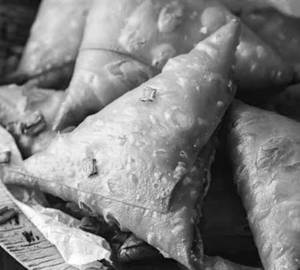 Chicken Samosa