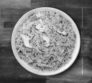 Chicken fried rice