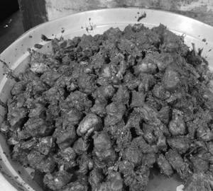 Chicken Fry