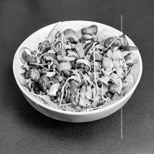 Sprout Salad