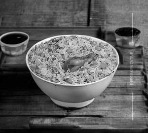 Chicken fried rice