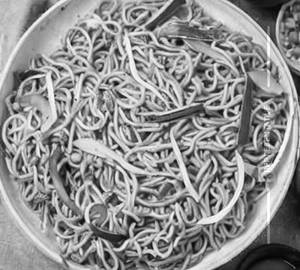 Paneer noodles