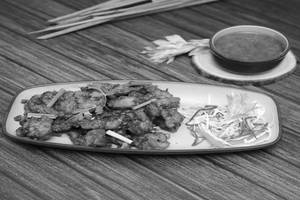 Gobi Manchuria