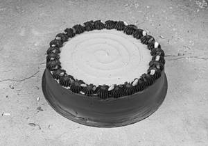 Sicilian Pistachio Chocolate Cake
