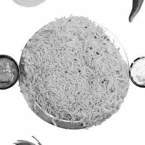 Plain Biryani
