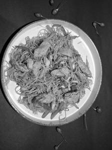Supreme chicken noodles serves 1