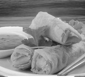 Veg spring roll