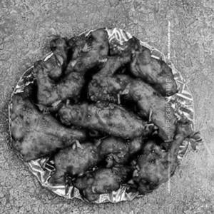 Chicken Fry