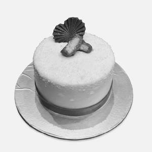 Choco Coconut Bliss Cake 500Grm