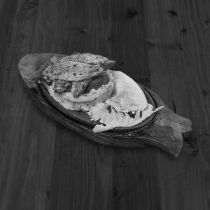 Grilled Bhetki Sizzler