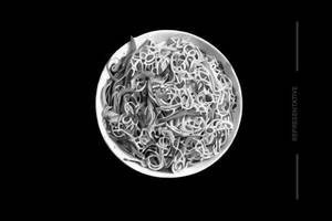 Veg Hakka Noodles