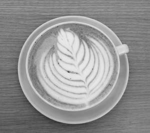 Mocha