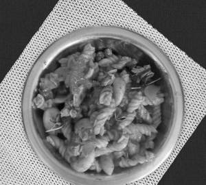 Macaroni homemade test