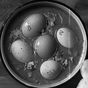 Egg Curry