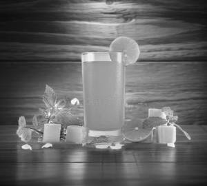 Sugarcane Mint
