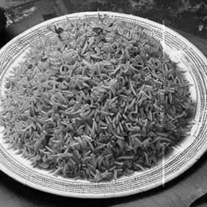 Kushka full