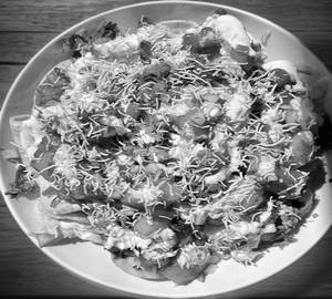 Papri Chaat