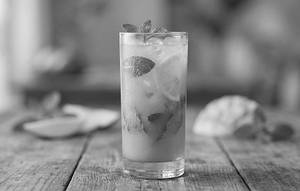 Mojita Mamma