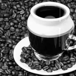 International Single Origin Coffee (Colombia Excelso)