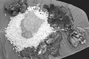 Fish Meals