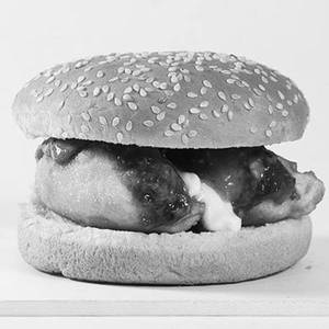 Korean chicken burger