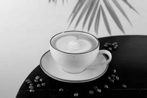 Zero Sugar Hazelnut Latte
