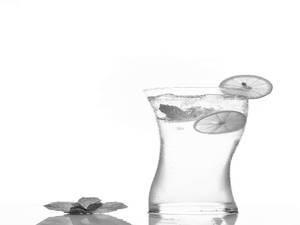 MINT MOJITTO