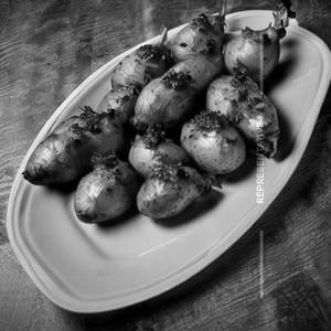 Stuffed potato
