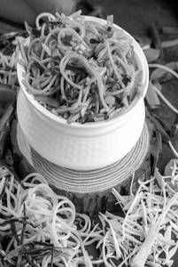 Schezwan Mushroom Noodles