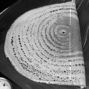 Butter Rawa Plain Dosa
