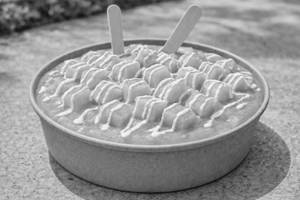 Mango Bowl Cake